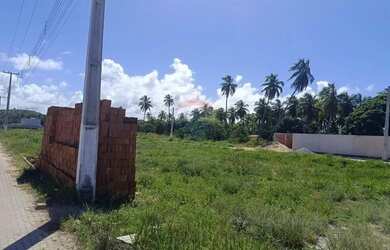 Imagem 4: Terreno localizado em Peroba, Maragogi!