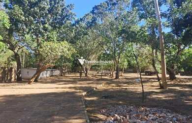 Imagem 3: TERRENO COM 5 HECTARES PARA ALUGUEL BAIRRO VALE QUEM TEM