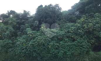 Imagem 7: Terreno à venda em Roseira - SP