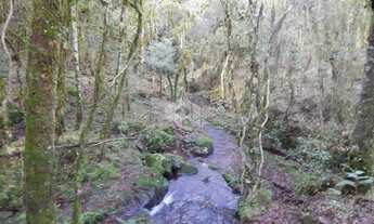 Imagem 5: Sitio localizado em São Francisco de Paula