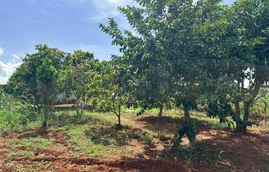 Imagem 2: CHACARA A SUA OPORTUNIDADE