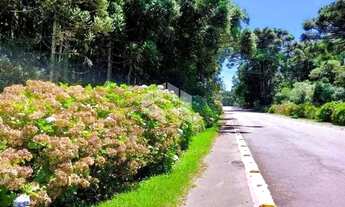 Imagem 5: A venda terreno de 21.299,70m² localizado no Parque dos Pinheiros em Gramado