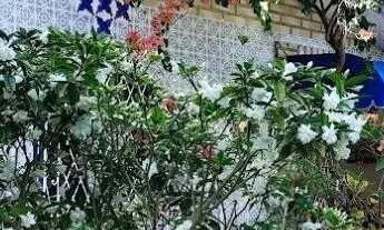 Imagem 2: Casa com 3 quartos, suite em Ponta Negra. Excelente!