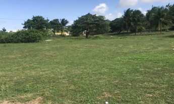 Imagem 5: Terrenos em Jenipabú