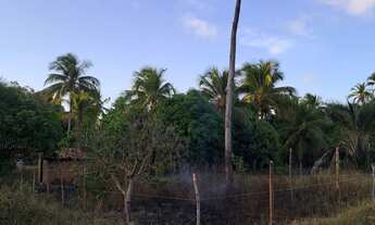 Imagem 2: Oportunidade! Terreno em Lagoa Redonda - Aceito Troca