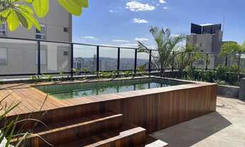 Imagem 7: Opus Gyro Vaca Brava