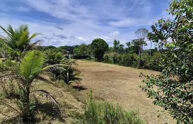 Imagem 3: Imóvel para venda com 2000 metros quadrados com 2 quartos em Tarumã - Manaus - AM