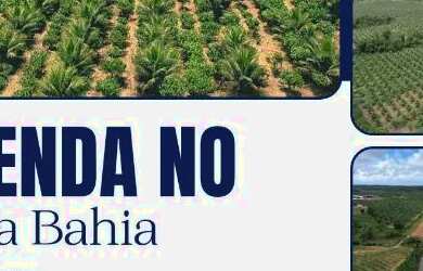 Imagem: FAZENDA NO SUL DA BAHIA - 1855 TAREFAS