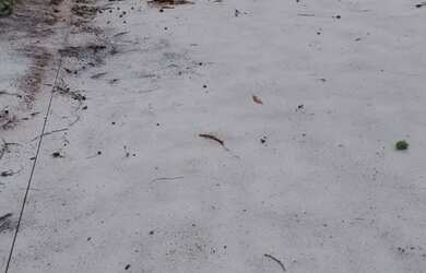 Imagem 6: Vende-se imóvel em amplo terreno - Nova Viçosa/BA (Bairro Abrão