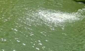 Imagem 2: Vendo linda casa ! Porteira fechada