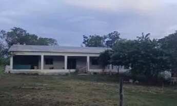 Imagem: Ágio de chácara corumba 3