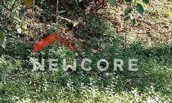 Imagem 3: Lote em Estrada elias ficher - palmeirinha - Juquitiba/SP