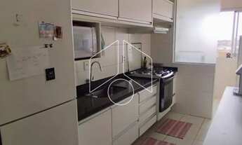 Imagem 5: Residencial / Apartamento - Alto Cafezal - Venda