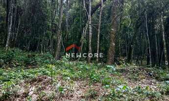 Imagem 5: Lote em Nova Capivari - Nova Capivari - Campos do Jordão/SP