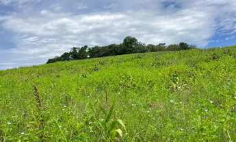 Imagem: Oportunidade única de investimento no KM