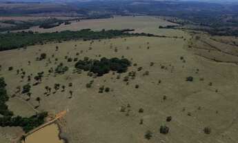 Imagem: Fazenda 23, 5 alq. Versátil à Venda em