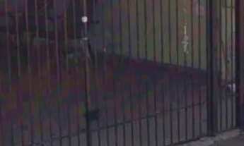 Imagem 2: Casa jardim pérola próximo av da indústria