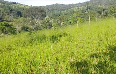 Imagem 4: Fazenda 55 Alqueires BR 414 Cocalzinho de Goiás