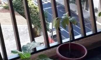 Imagem 4: Edificio Caioba $195.000