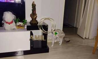 Imagem 4: Apartamento à venda no Di Cavalcanti, Monte Castelo, 45m², 02 Dormitórios, São José dos Ca