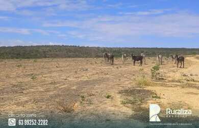 Imagem 7: Três Marias - MG com 50% de aproveitamento agrícola