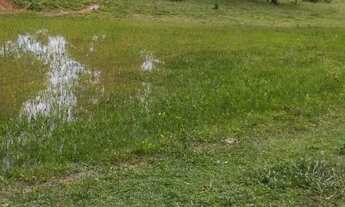 Imagem 2: Fazenda à Venda em Heitoraí GO | 50 Alqueires