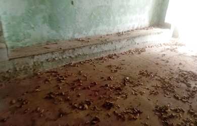 Imagem 4: Centro espírita