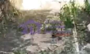 Imagem 5: Residential / Land Lot em São Paulo