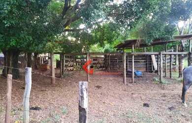 Imagem 2: Chácara à venda, 36000 m² por R$ 425.000,00 - Sao Francisco - São Francisco/SP