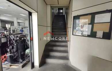 Imagem 4: Galpão em Rua Coronel Antônio Marcelo - Belenzinho - São Paulo/SP