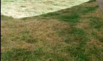 Imagem 2: Aluga-se Casa independente