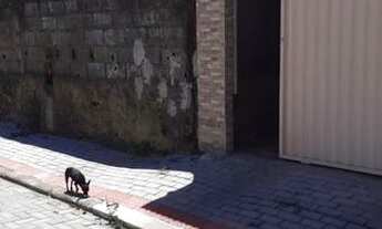 Imagem 6: Vende-se uma casa pronta para morar em Cariacica