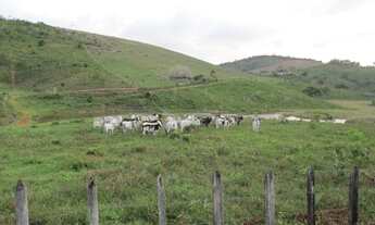 Imagem 3: Fazenda 270 ha para gado em Ubatã - Ba
