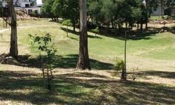 Imagem 5: CAXIAS DO SUL - Terreno Padrão - SÃO CIRO