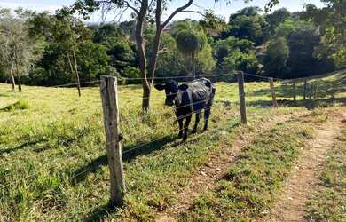 Imagem 6: Chácara em Rubiataba-go 5,4 alqueires