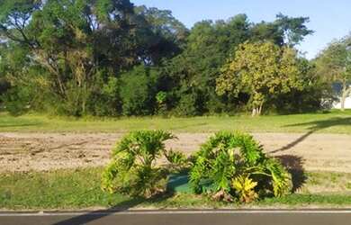 Imagem 2: Lote de 450m² no Asfalto