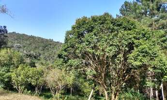 Imagem 7: São Lourenço da Serra - Sítio - Morro Grande