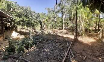 Imagem 4: Chácara para vender em planaltina Df