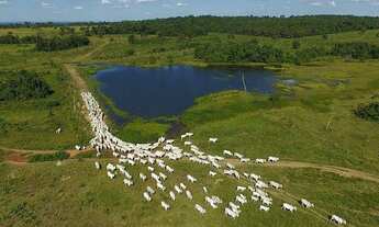 Imagem: AG- Fazenda Entrada R$15.0000,00