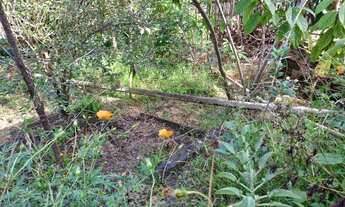 Imagem 4: CASA Casa com 2 dormitórios