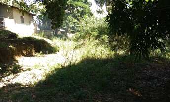 Imagem 3: Chácara em Abrantes