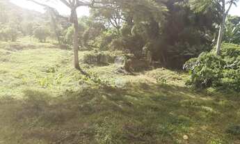 Imagem 6: Terreno - Aririu