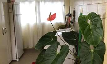 Imagem 6: Sobrado para Venda - Burgo Paulista, São Paulo - 120m², 2 vagas