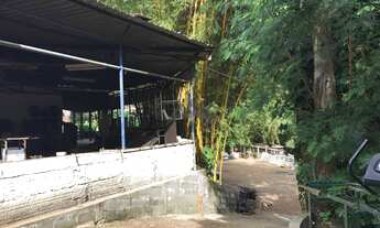 Imagem 4: Terreno - Chácara Bela Vista - Campinas