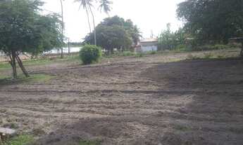 Imagem 2: Sitio vende-se(valor à negociar