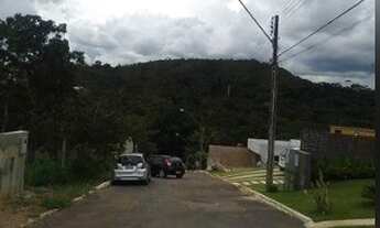 Imagem 4: Lote no ouro vermelho 2