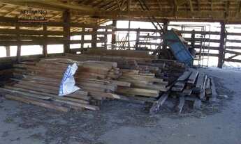 Imagem 6: FAZENDA - 325,67 HECTARES - CAJURU/SP