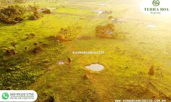 Imagem 4: SÍTIO 35 ALQUEIRES TODO ABERTO JACI PARANÁ/RO