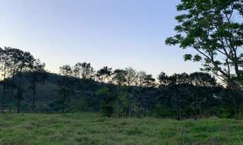 Imagem: Terrenos próximos à rodovia Dom Pedro