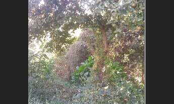 Imagem 2: Casa lote 300 metros quadrados com 1 quarto em Tropical - Contagem - MG